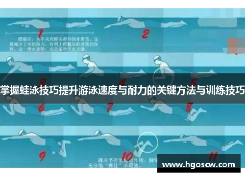 掌握蛙泳技巧提升游泳速度与耐力的关键方法与训练技巧