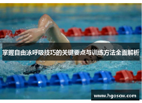 掌握自由泳呼吸技巧的关键要点与训练方法全面解析