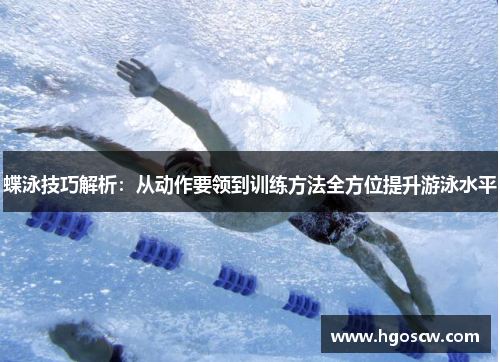 蝶泳技巧解析：从动作要领到训练方法全方位提升游泳水平