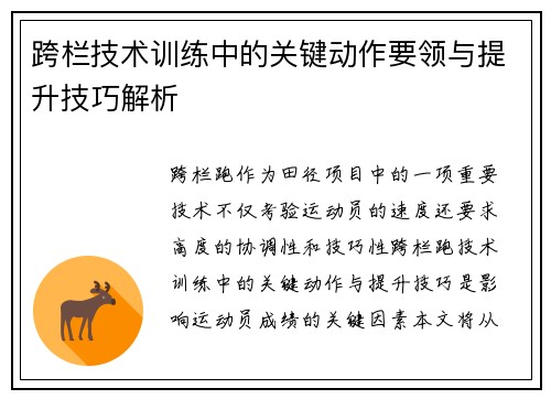 跨栏技术训练中的关键动作要领与提升技巧解析